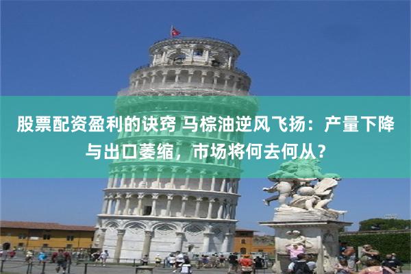 股票配资盈利的诀窍 马棕油逆风飞扬：产量下降与出口萎缩，市场将何去何从？