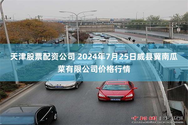 天津股票配资公司 2024年7月25日威县冀南瓜菜有限公司价格行情