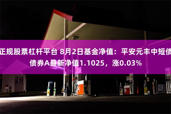 正规股票杠杆平台 8月2日基金净值：平安元丰中短债债券A最新净值1.1025，涨0.03%