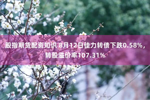 股指期货配资知识 8月12日佳力转债下跌0.58%，转股溢价率107.31%