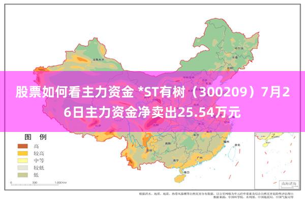 股票如何看主力资金 *ST有树（300209）7月26日主力资金净卖出25.54万元