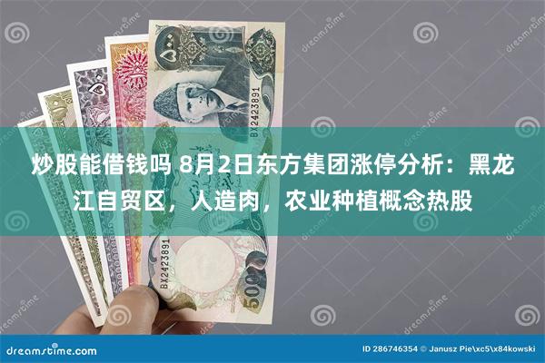 炒股能借钱吗 8月2日东方集团涨停分析：黑龙江自贸区，人造肉，农业种植概念热股