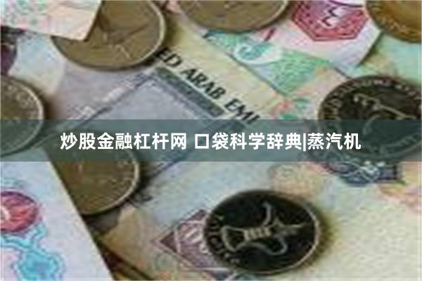 炒股金融杠杆网 口袋科学辞典|蒸汽机