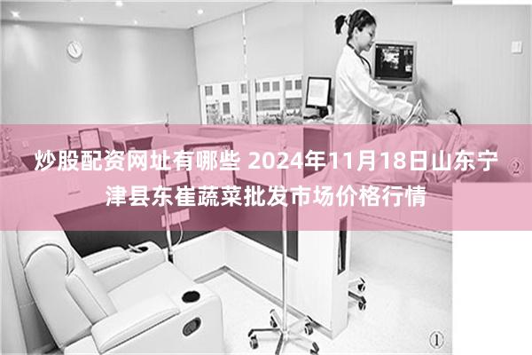 炒股配资网址有哪些 2024年11月18日山东宁津县东崔蔬菜批发市场价格行情