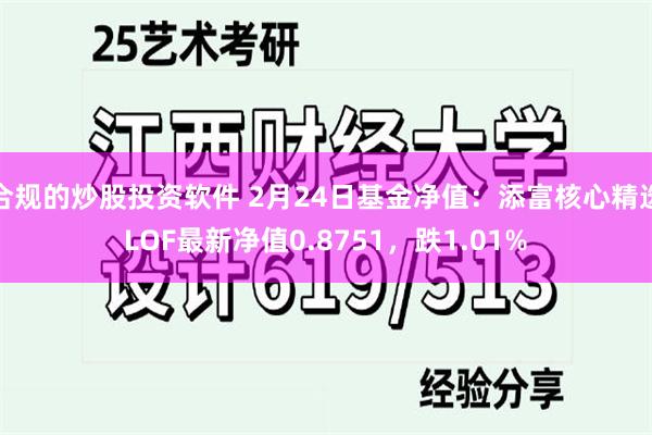 合规的炒股投资软件 2月24日基金净值：添富核心精选LOF最新净值0.8751，跌1.01%