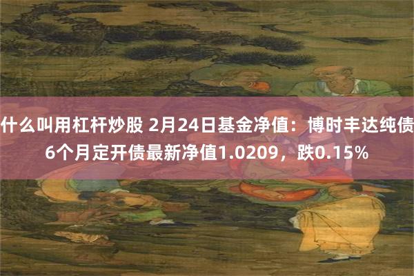 什么叫用杠杆炒股 2月24日基金净值：博时丰达纯债6个月定开债最新净值1.0209，跌0.15%