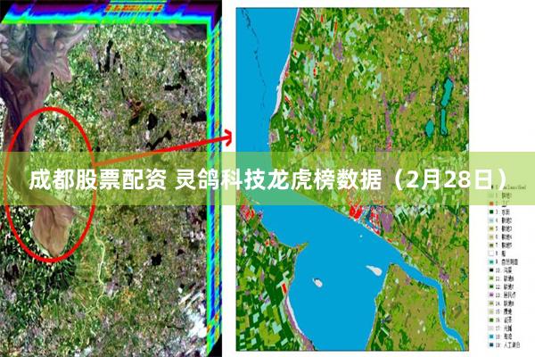 成都股票配资 灵鸽科技龙虎榜数据（2月28日）